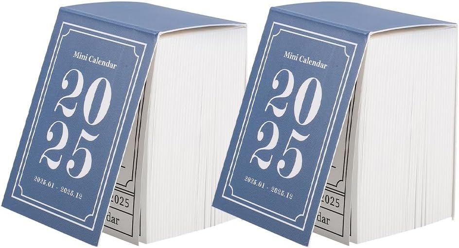 Amazon.com: 2025 Daily Wall Calendar, Page a Day Wall Calendars with ...