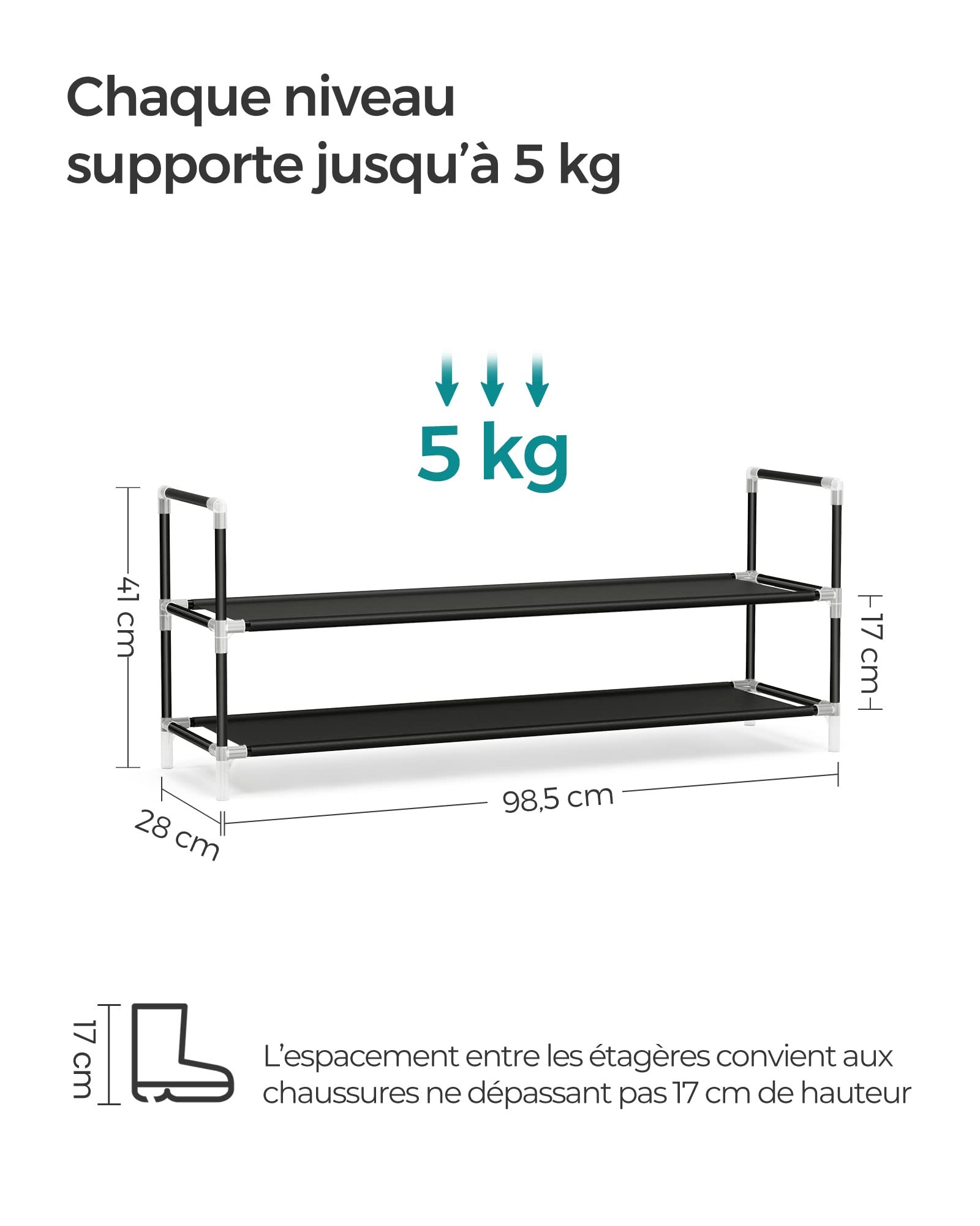 SONGMICS 2-poziomowy stojak na buty, stojak na buty do przedpokoju i cienki i zajmuje mało miejsca, metalowa rama, półki z włókniny, czarny LSH052B01