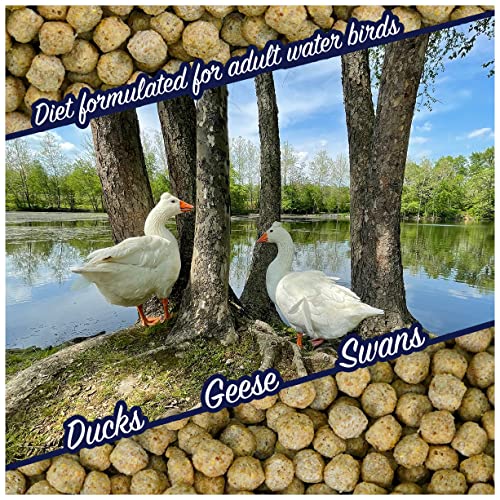 Natural Waterscapes Waterfowl Feed Open Water Diet 40 lb | for Feeding Ducks Geese Swans | Floating Pellets with Niacin for Ducks