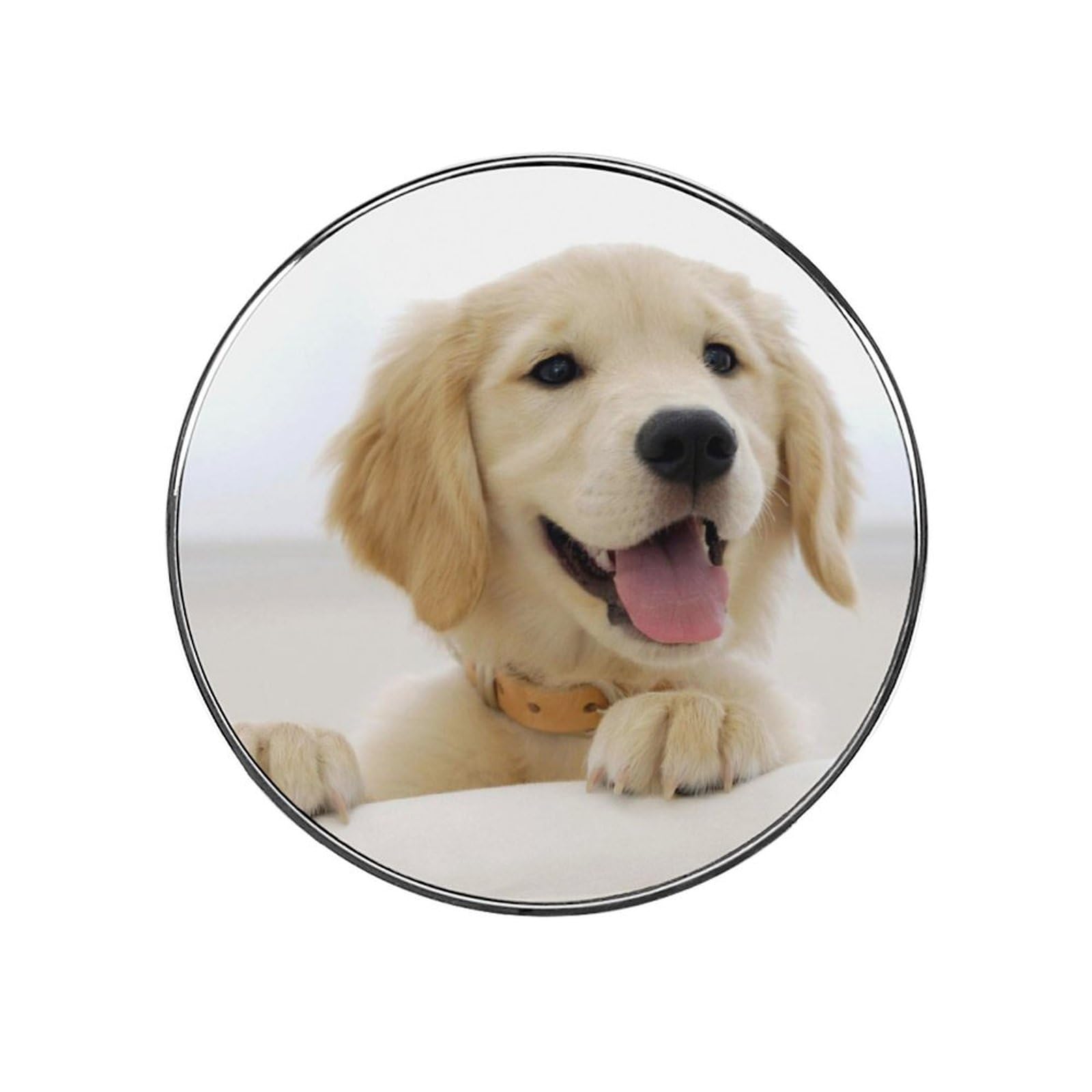 Golden Retriever Puppies Round Fridge Magnets, Strong Magnetic Refrigerator Stickers, Multi-Use No Trace Non-Scratch Magnets for Kitchen Home Decor Office Whiteboard And Cabinets