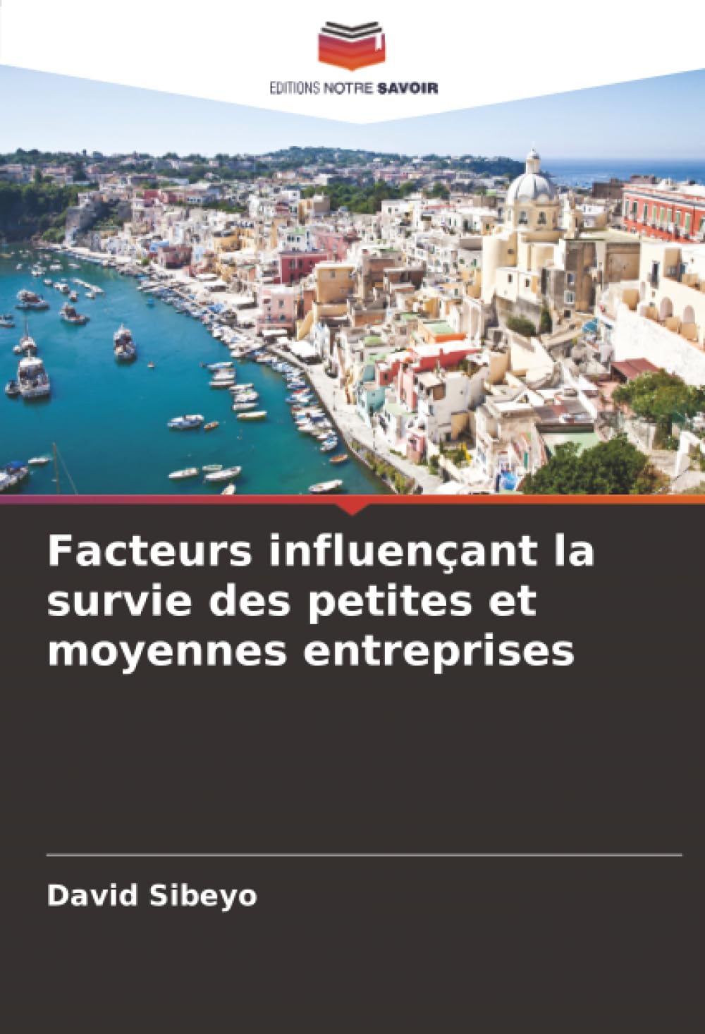 Facteurs influençant la survie des petites et moyennes entreprises