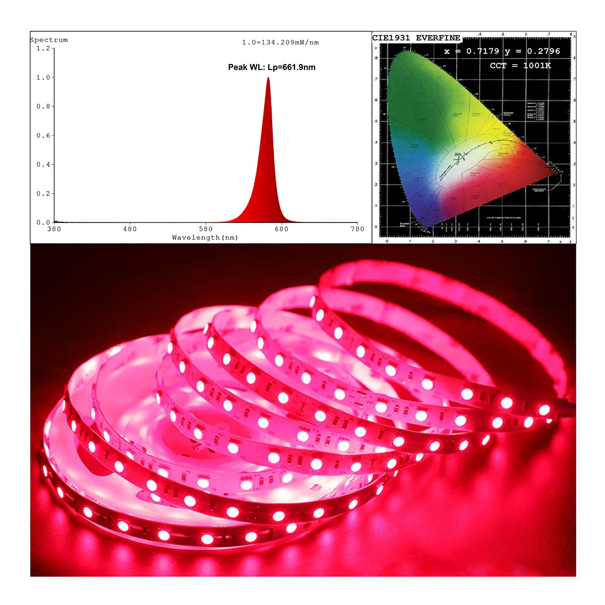 Sambread フルスペクトル LED照明 660nm Amazon.com: SLL HUT 12 Volt 660nm Red Flexible LED Strip Light, 5m