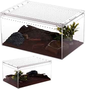 専用 爬虫類用ケージ 61I9DsoRDRL._AC_UF350,