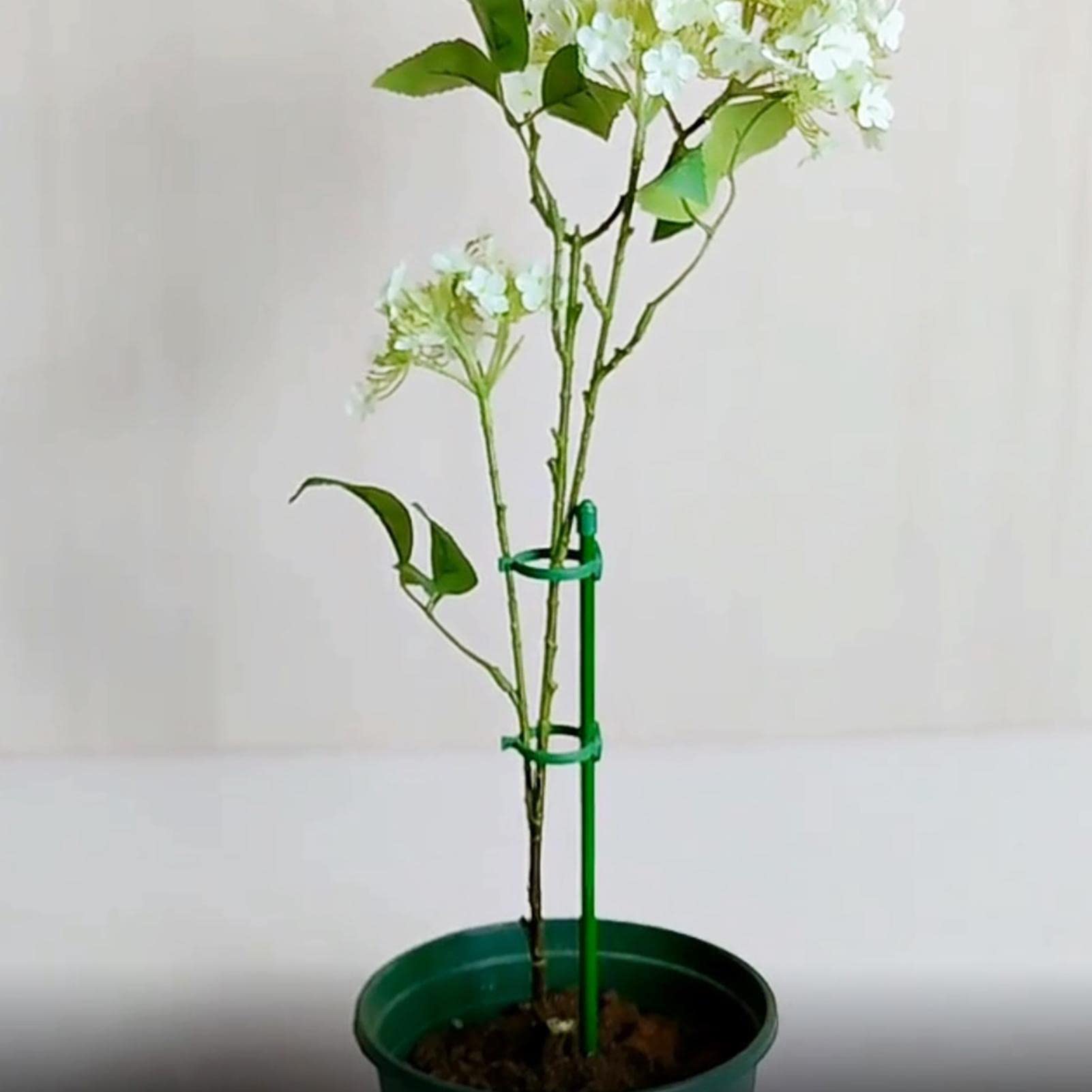6 Pflanzenstützstäbe Mit 12 Clips – 40 Cm Lang, Für Rosen, Tomaten, Orchideen & Mehr