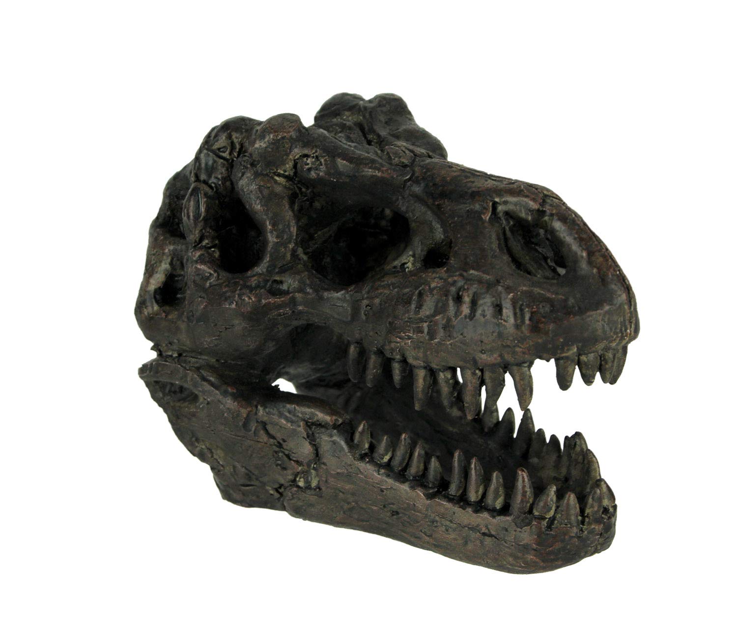Things2Die4Brown Tyrannosaurus Rex Dinosaur Skull Fossil Resin Statue Small