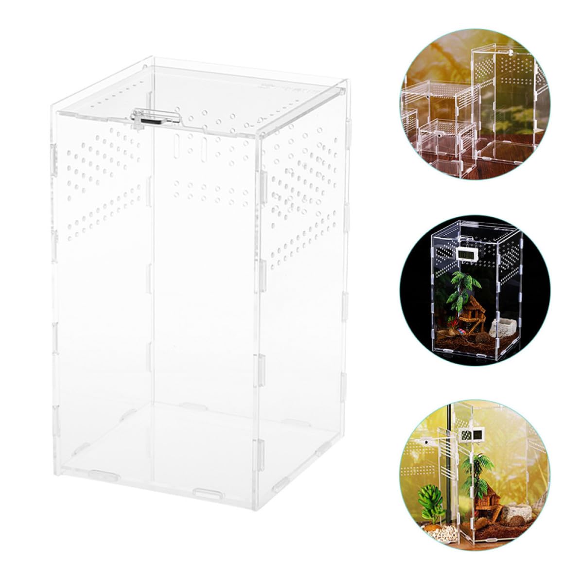 Caja de Acrílico Transparente para Reptiles Ventilación Estable y Cría