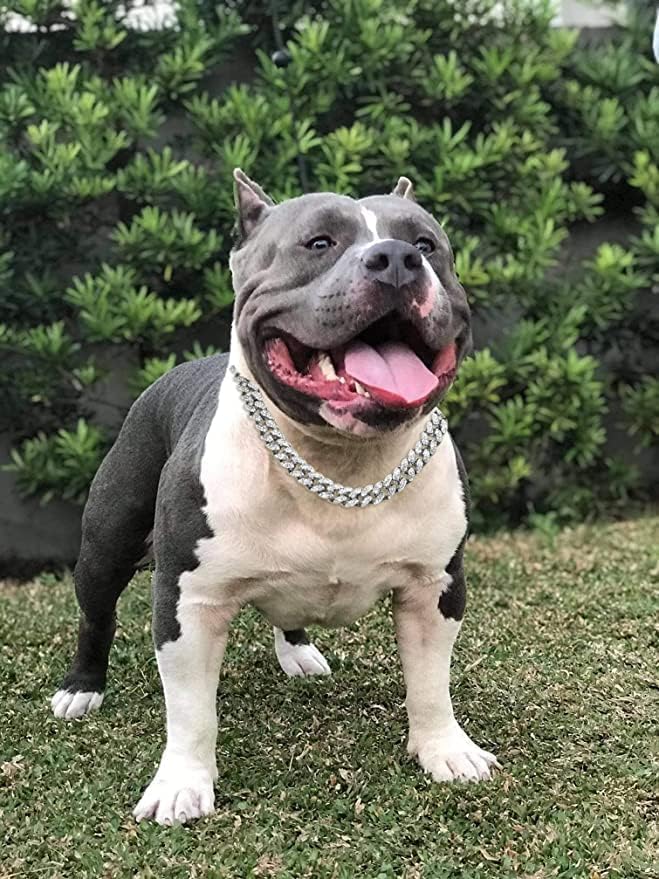 Miniatura 3 de Halukakah HOLLYWOOF - Collar para perro Cadena de oro chapada en platino, lujoso teléfono de diamantes y 0.551 in de grosor, tamaño 14 pulgadas con