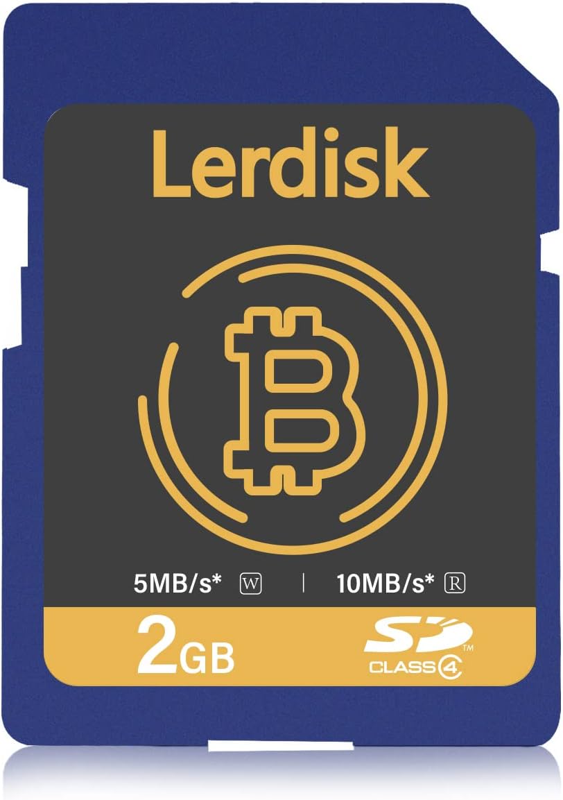 Lerdisk Factory Wholesale SD Card 2GB Class 6 Produced by