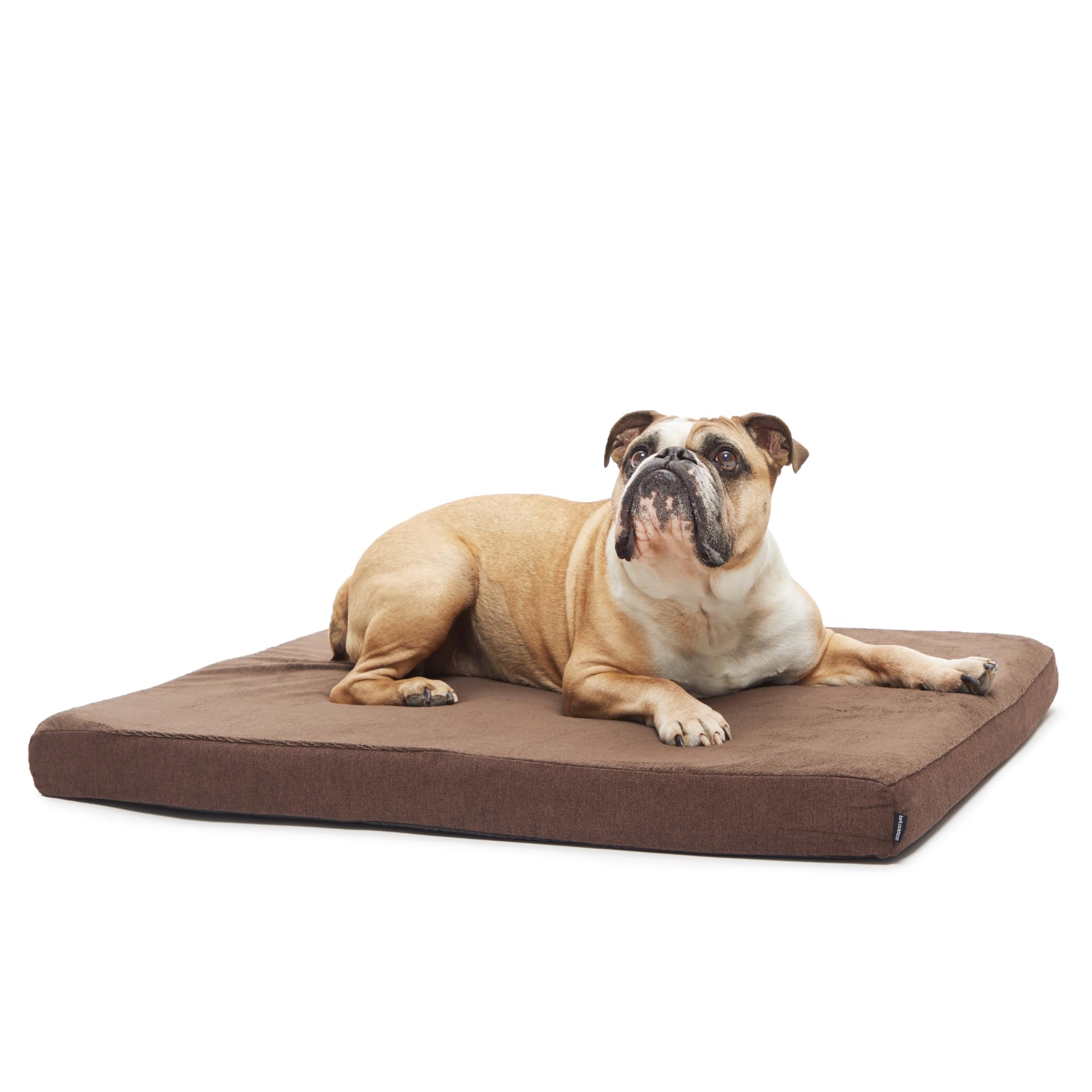 Barkbox Orthopedic Dog Bed with Memory Foam, Premium Comfort for Dogs and Puppies, Dog Bed for Joint Relief and Restful Sleep, Durable and Easy to Clean - Espresso, Medium