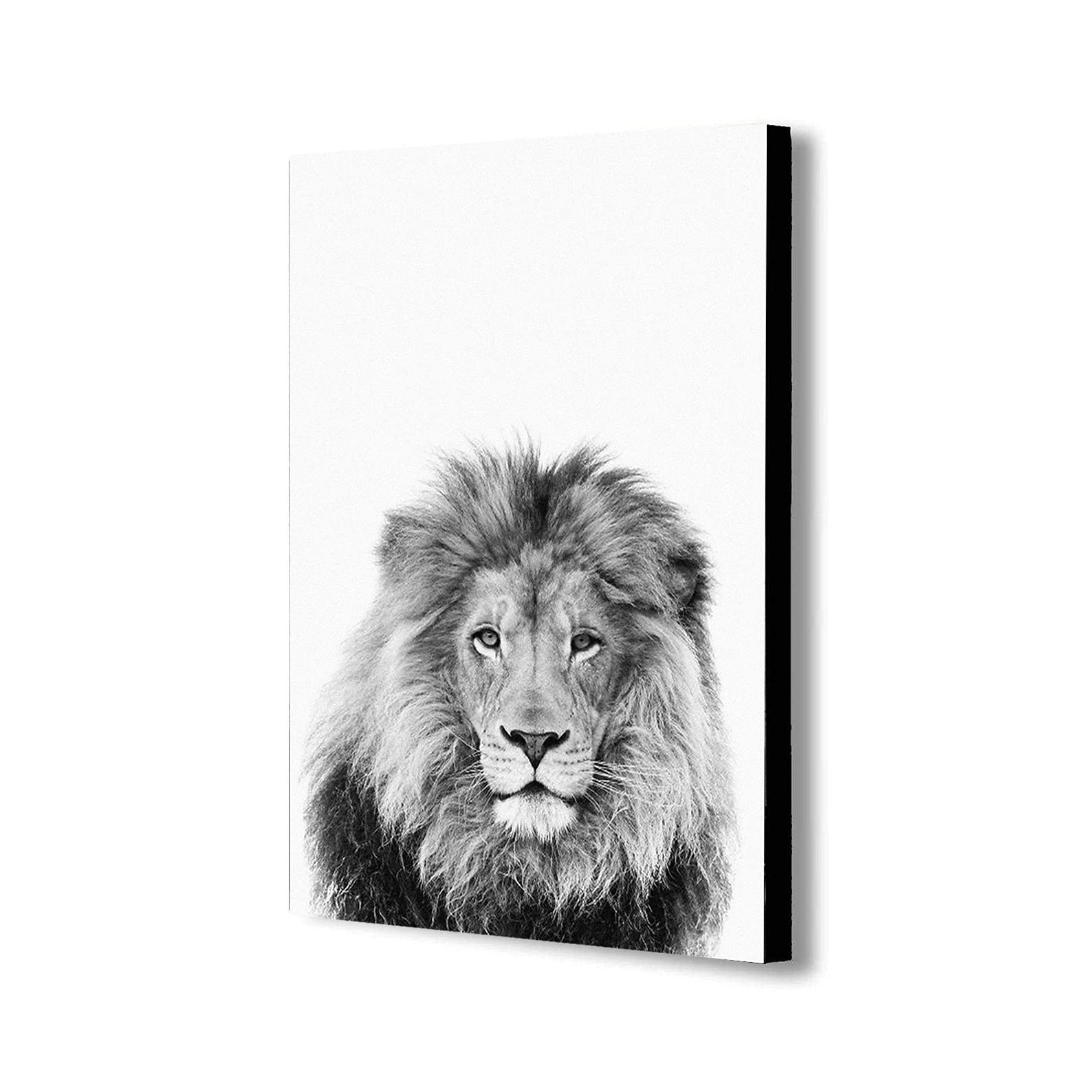 Wild Lion – Impression sur toile encadrée – Noir et blanc – Différentes tailles (A0 119,4 x 83,8 cm)