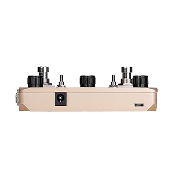 ギター Donner  Delay Looper Donner Looper - Tonebox.com