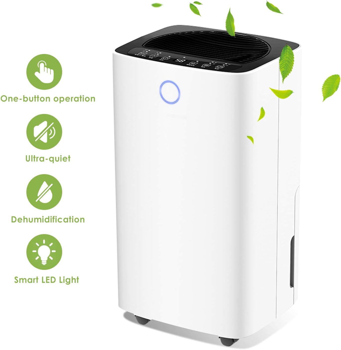 deumidificatore portatile per cantina