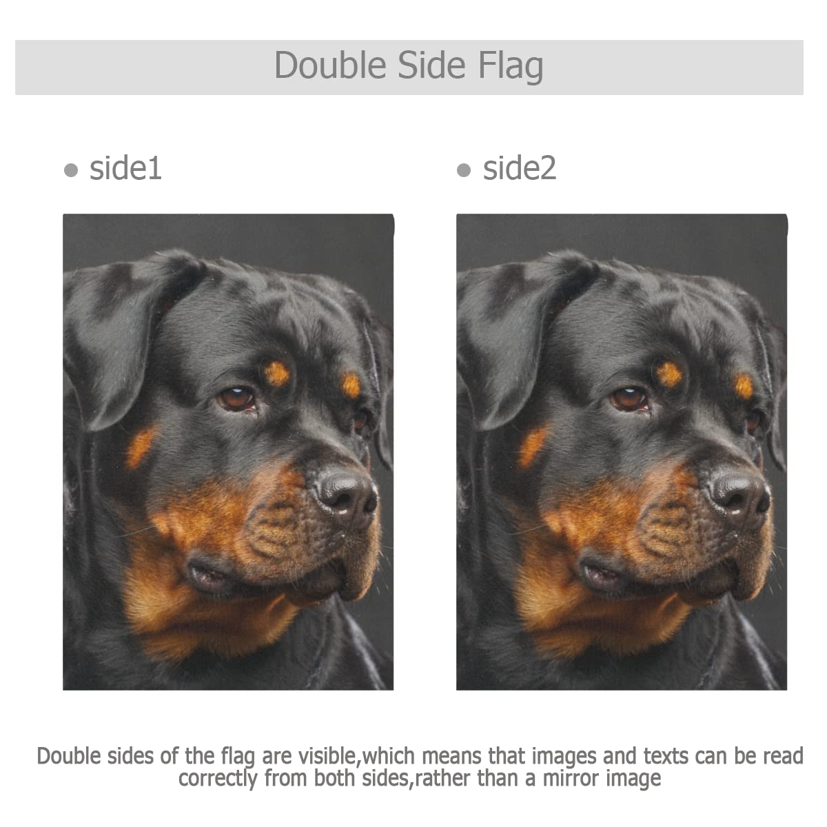 Rottweiler Gartenflagge – Doppelseitig 30,5x45,7 Cm, Polyester, Wasserdicht