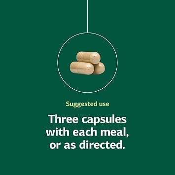 Standard Process Rumaplex, Liver & Bile Production Support, 40 Capsules