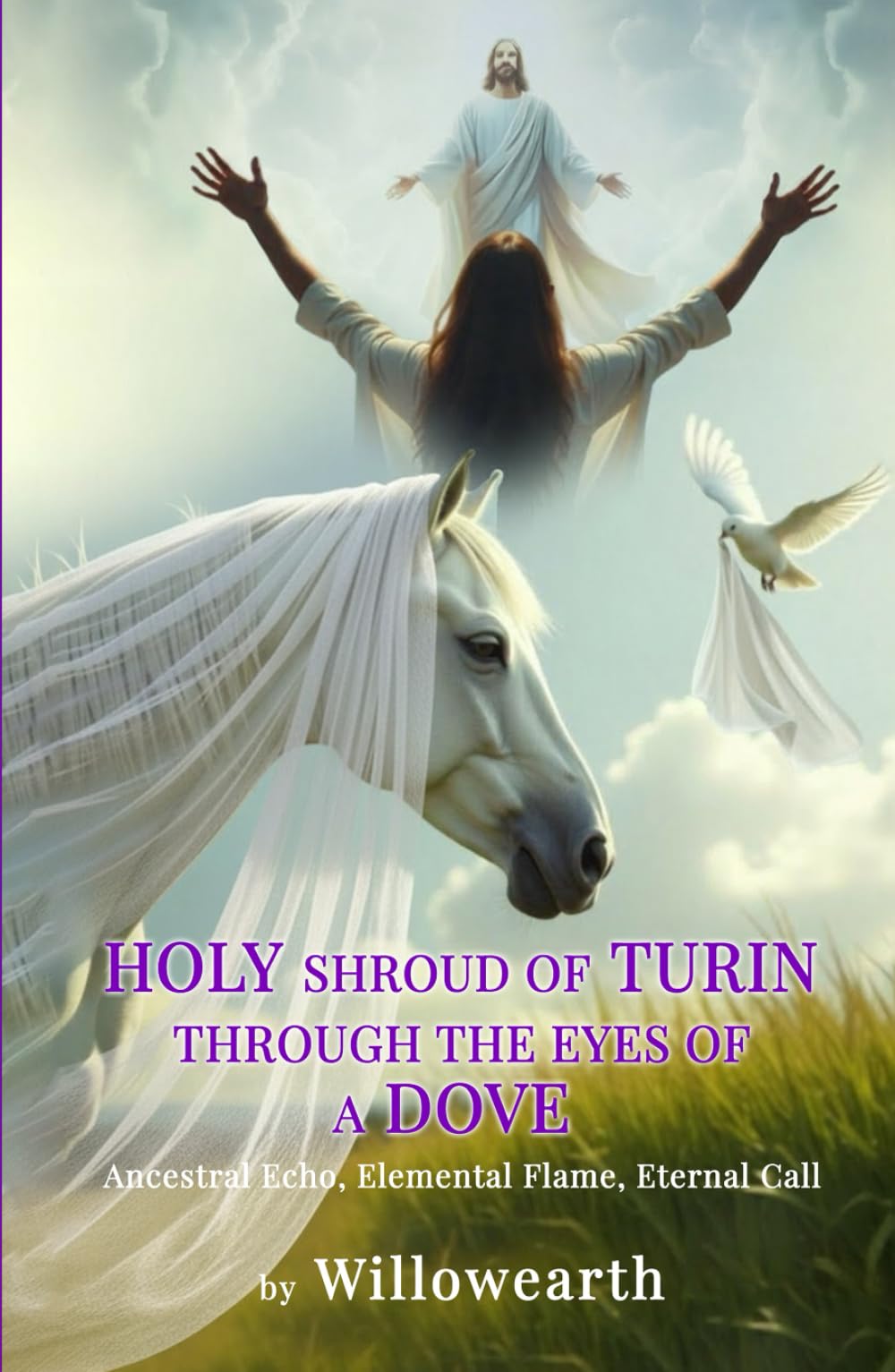 HOLY shroud of TURIN Through the eyes of a DOVE