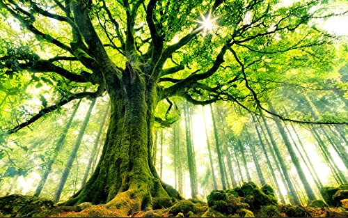 Puzzle in Legno da 3000 Pezzi Puzzle Ad Albero