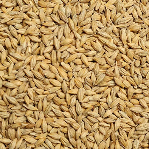 See full amazon price history chart for PNC Quality Bazar Barley Grain Natural and Rich Fiber Jau Seeds Pack of 500 Gram PNC Quality Bazar Barley Grain Natural and Rich Fiber Jau Seeds Pack of 500 Gram (B08R944F8X) Amazon Price History, Amazon Price Tracker