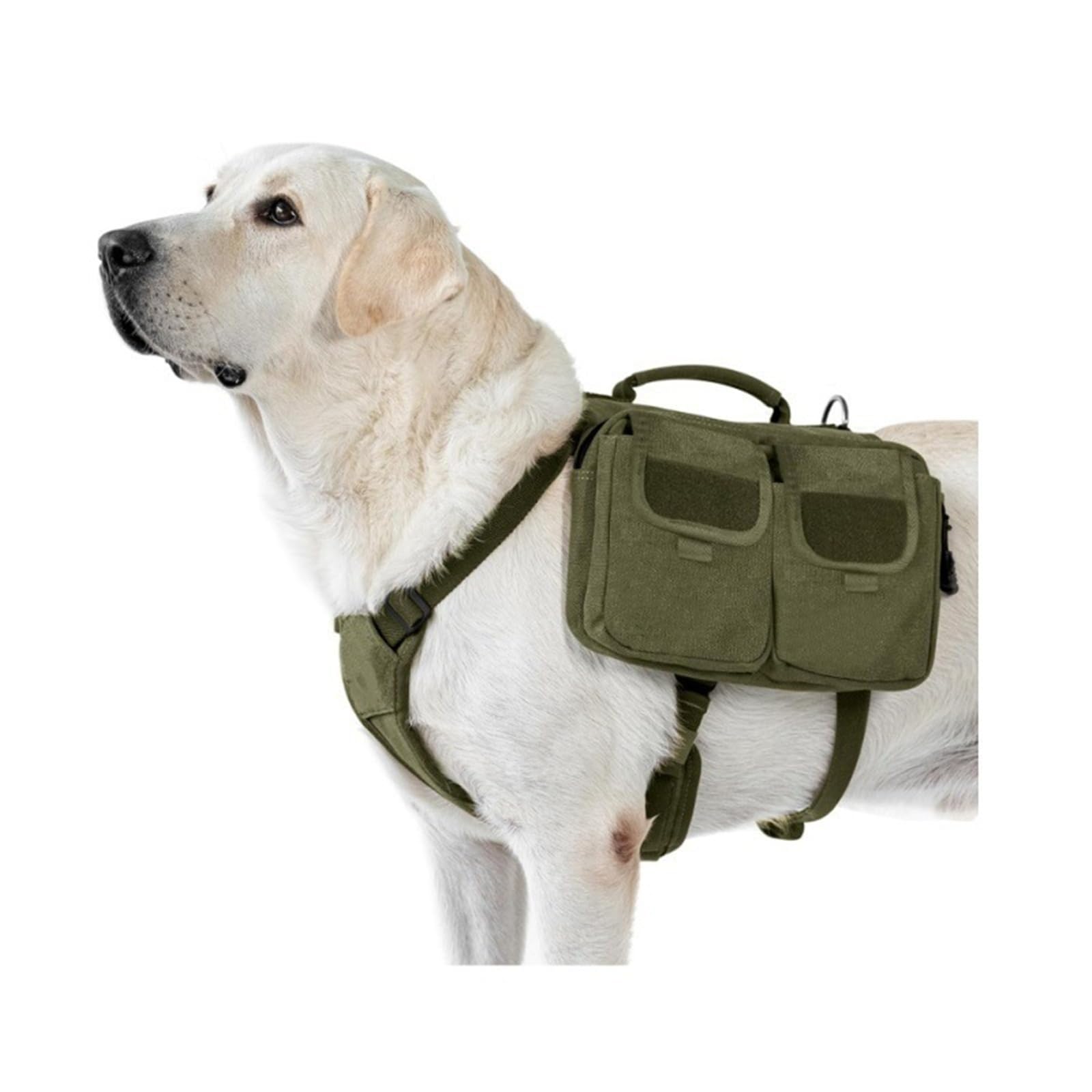 Sac à dos tactique multifonction pour chien pour randonnée en plein air – Sac de randonnée durable avec sangles réglables (vert, M)