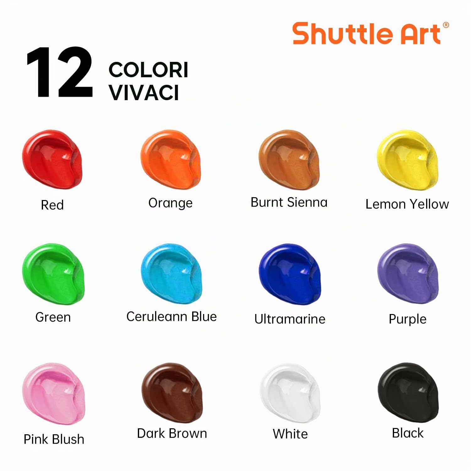 Shuttle Art Set di Colori Acrilici per Esterno, 12 Colori Acrilici Impermeabili per Uso Esterno, Colori Acrilici in Bottiglie (ciascuna da 250ml, 8,45oz), Pittura Acrilica per Artisti, Adulti su