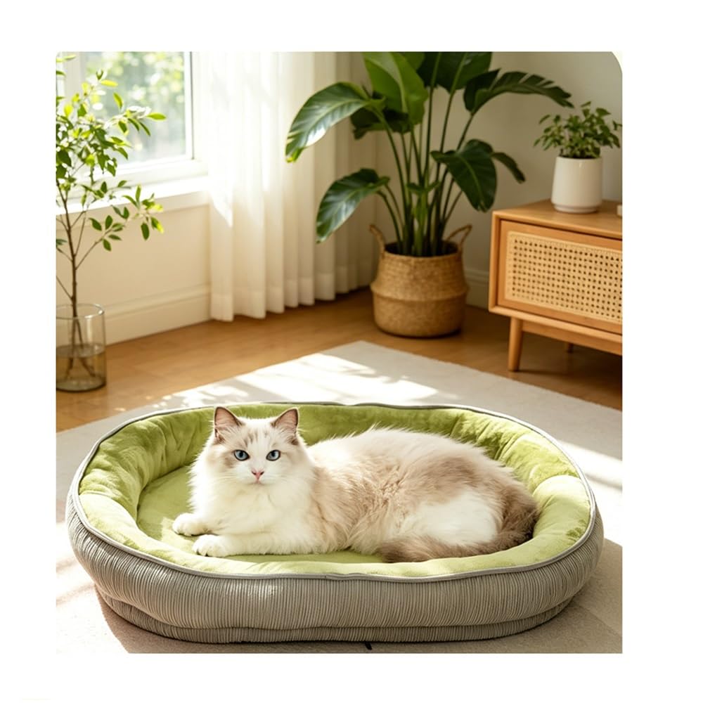 Generico Cuccia per Gatto Lavabile, Morbida Cuccia in Peluche con Bordi Rialzati, Letto Ortopedico con Rivestimento Rimovibile, Comodo per Gatti da Casa(Medium)