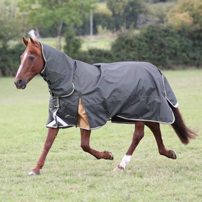 Shires Highlander Plus 50g Combo Turnout Rug - Green 6'9" / 81", Green