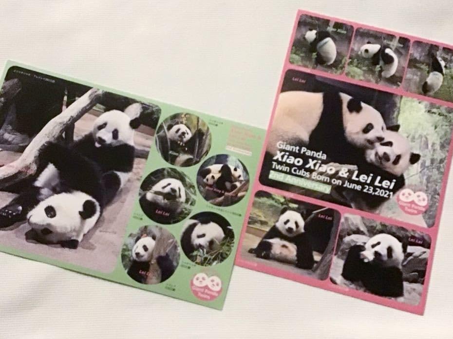 上野動物園 2周年記念オリジナル商品 2歳アニバーサリーシャンシャン3