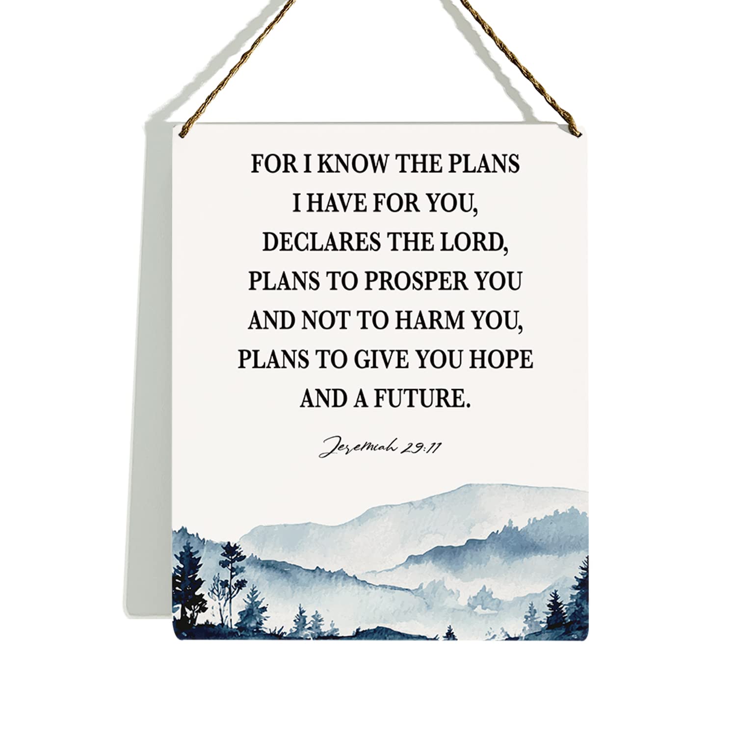 Christian Wall Decor, Bible Verse Wall Decor Wooden Hanging Sign, Serenity Prayer Wall Art, Jeremiah 29:11, Scripture Wall Art Decor for Farmhouse Home Porch Office Bedroom Bathroom, 8 x 10 Inches