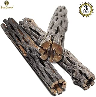 SunGrow Cholla Wood, Aquarium Decoration and Chew Toys for Small Pets, Artistic Home-Decor, Added Nutrition, Long Lasting Driftwood, Natural and Pet Safe, for Playing and Hiding - coolthings.us