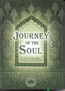 Paperback Journey of the Soul Book