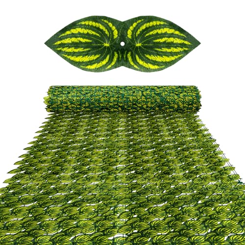 KASZOO 140C`x60C` lHACr[vCoV[tFXXN[ - UVϐ ʋC tFCNACr[O[tFXpl peBIAoRj[AAAAOp