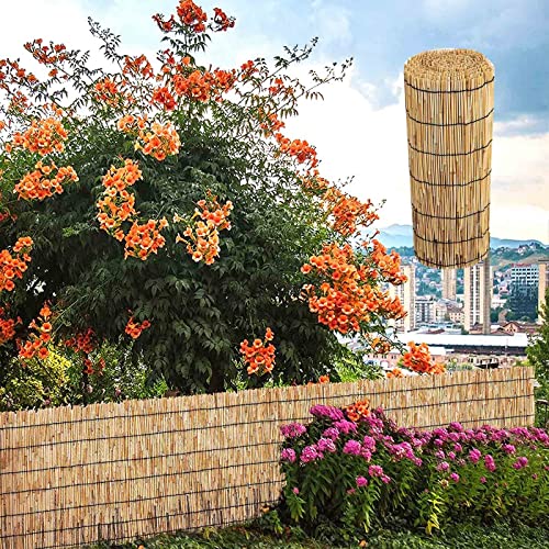 HSPLXYT Recinzione a Lamella Ecologica Naturale, Tenda a Lamella, Finitura Naturale for recinzioni da Giardino, Recinzione for la Privacy (Size : H90xL600cm/3x19.7ft)