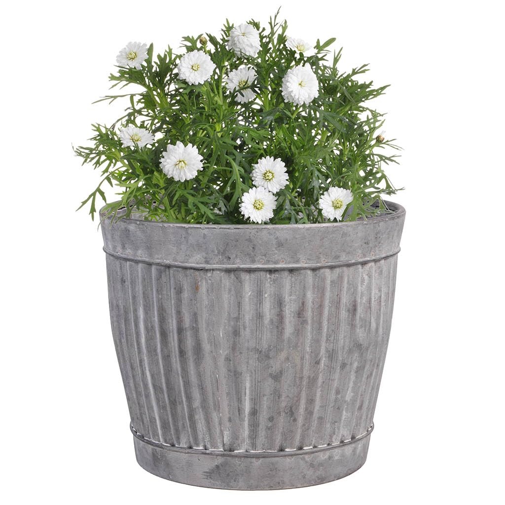 Dibor Ribbed Metal Plant Pots Vintage Style Galvanised Bucket Trough Dolly Planter Patio Lawn Decking Plant Pot for Shrubs, Bushes, Trees, Topiaries & Flowers Fathers Day Garden Gift