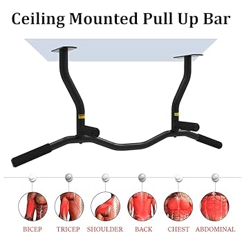 懸垂 天井 チンニング 筋トレ トレーニング 自宅 ホームジム 懸垂バー 懸垂 天井 チンニング 筋トレ トレーニング 自宅 ホームジム