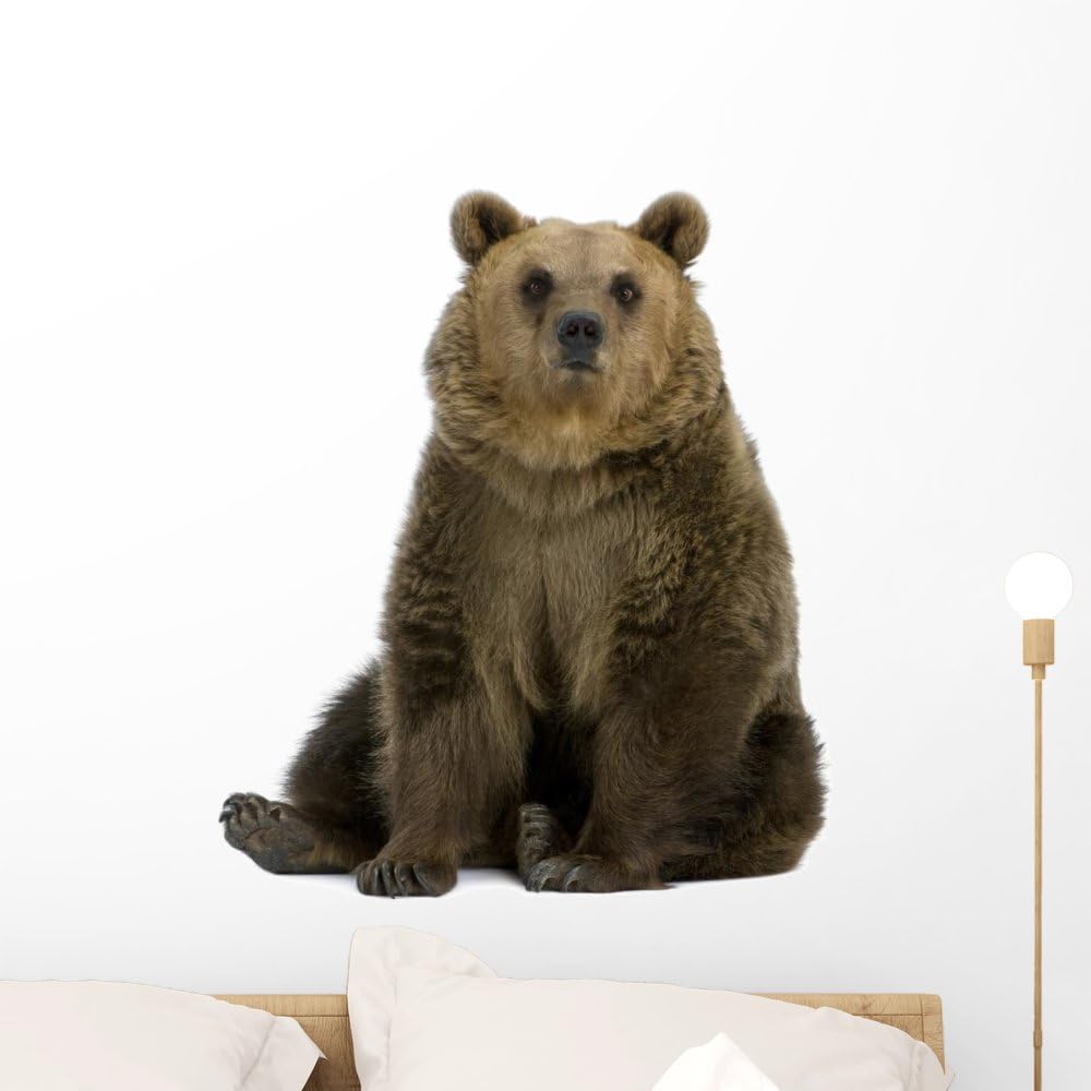 FOT-24385006-24 WM164478 Brown Bear Peel and Stick Wall Decals H x 24 in W, 24 24 W-Medium