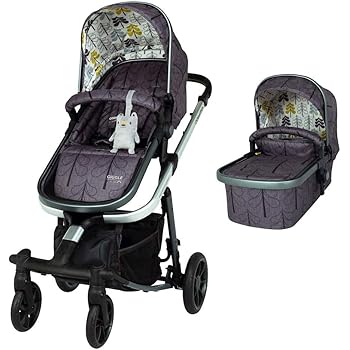 pram and pushchair duo
