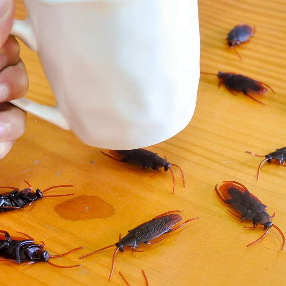 UNIIDECO 50 Pieces Prank Fake Roaches, Look Real Plastic Trick Joke Toys, Scary Insects Realistic Bugs Gag Gifts, Novelty Cockroach for Halloween Party (50 Pieces)
