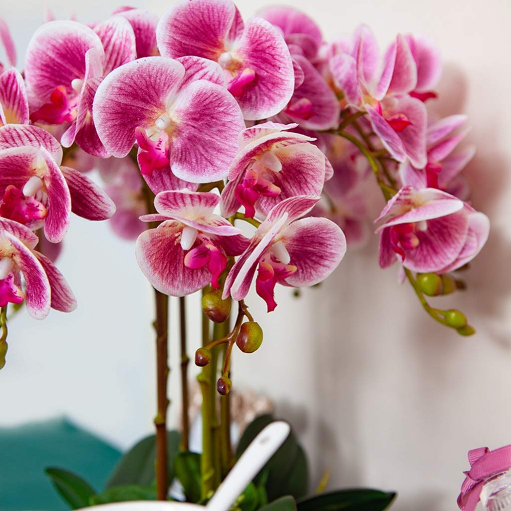SDdPulse Orchidee artificiali Phalaenopsis con vaso per composizioni floreali, fiori finti bonsai, farfalle, set di decorazioni per la casa, ufficio, cucina, letto, viola
