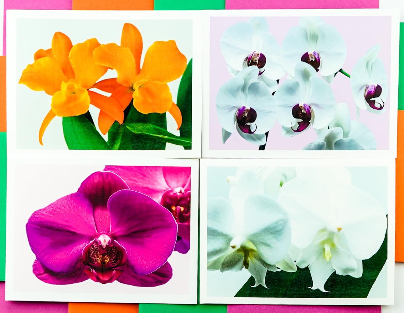 Orchid Assorted Photographic High-End Heavy Smooth Note Cards 16 w/18 Colored Envelopes, Boxed Set (4.25"x 5.50") Blank Inside - Made in USA