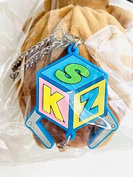 Amazon.co.jp: straykids バンチャン ウルフチャン ペンミ バッグ