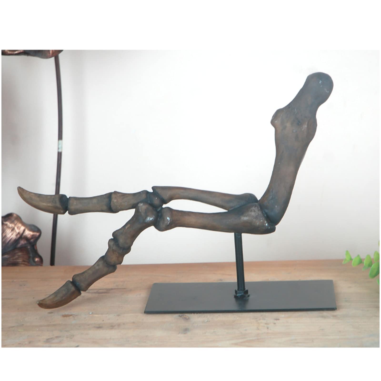 Amazon.co.jp: 9.6インチ 恐竜の足の骨格彫刻モデル 本物の恐竜