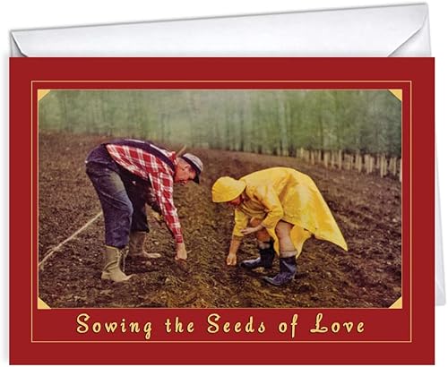 Wright Home & Gift Seeds of Life - Tarjetas de felicitación de feliz aniversario para esposoesposa, 1 paquete individual + 1 sobre (5 x 7)