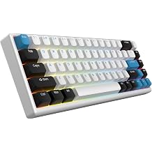 ARBITER Polar 65 - CNC Mechanical Gaming Keyboard - Magnetic Hall Effect Switch CNC Aluminum Frame Rapid Key 65% Compact Bright RGB Dual Shot PBT Key Cap - Spider Blue