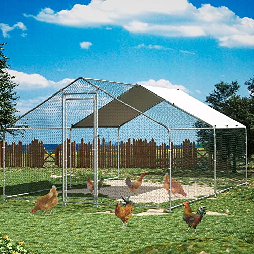 10 Best Chicken Coops for 6 Chickens [ 4, 5] for Backyard Reviews