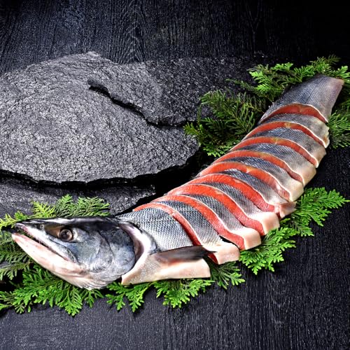  Vgؐg 800g kCY kC Hgp TP ^yؐgzΕEMtgEp