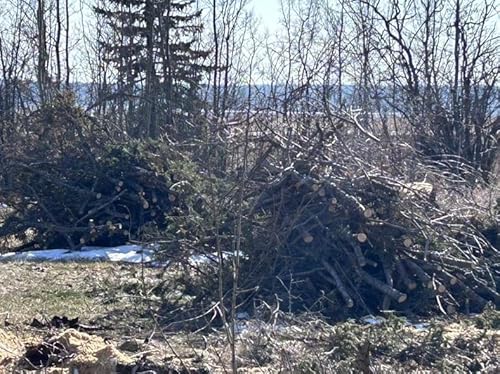 Season 3 Episode 12: The Pursuit of Spring Cleaning and Spring Decor Podcast Por  arte de portada