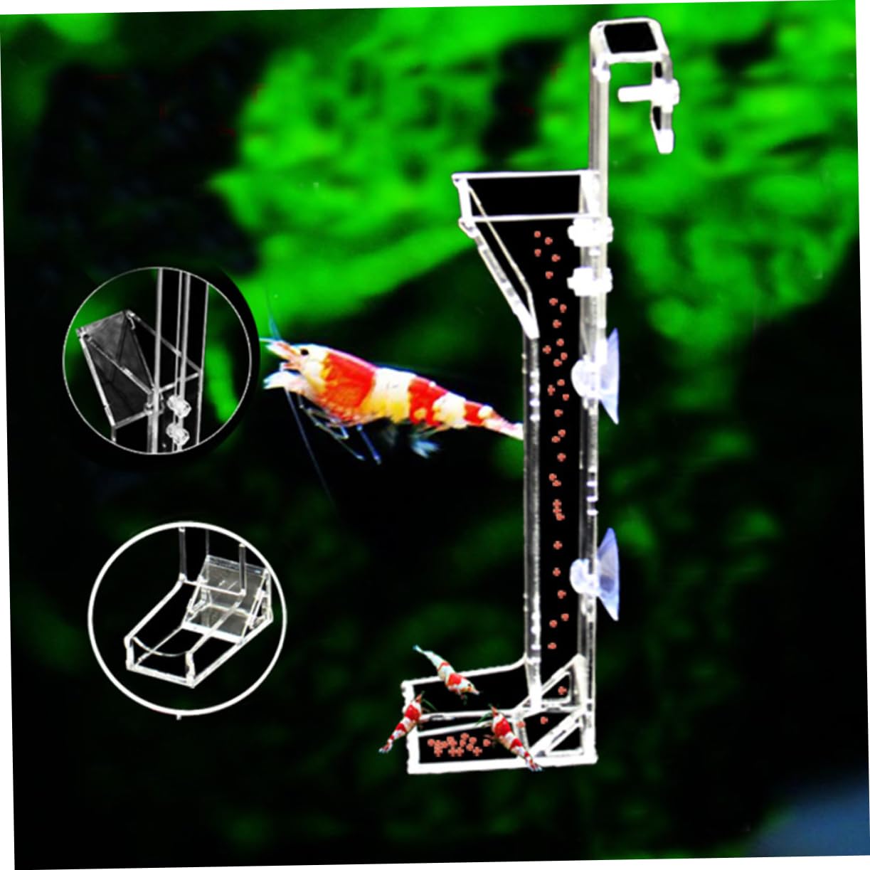 FRCOLOR Lot de 3 Tubes d'alimentation pour Aquarium, gamelles pour crevettes, Feeder, en Acrylique, Distributeur Automatique de Nourriture pour crevettes, Cristal, Alimentaire, Blanc