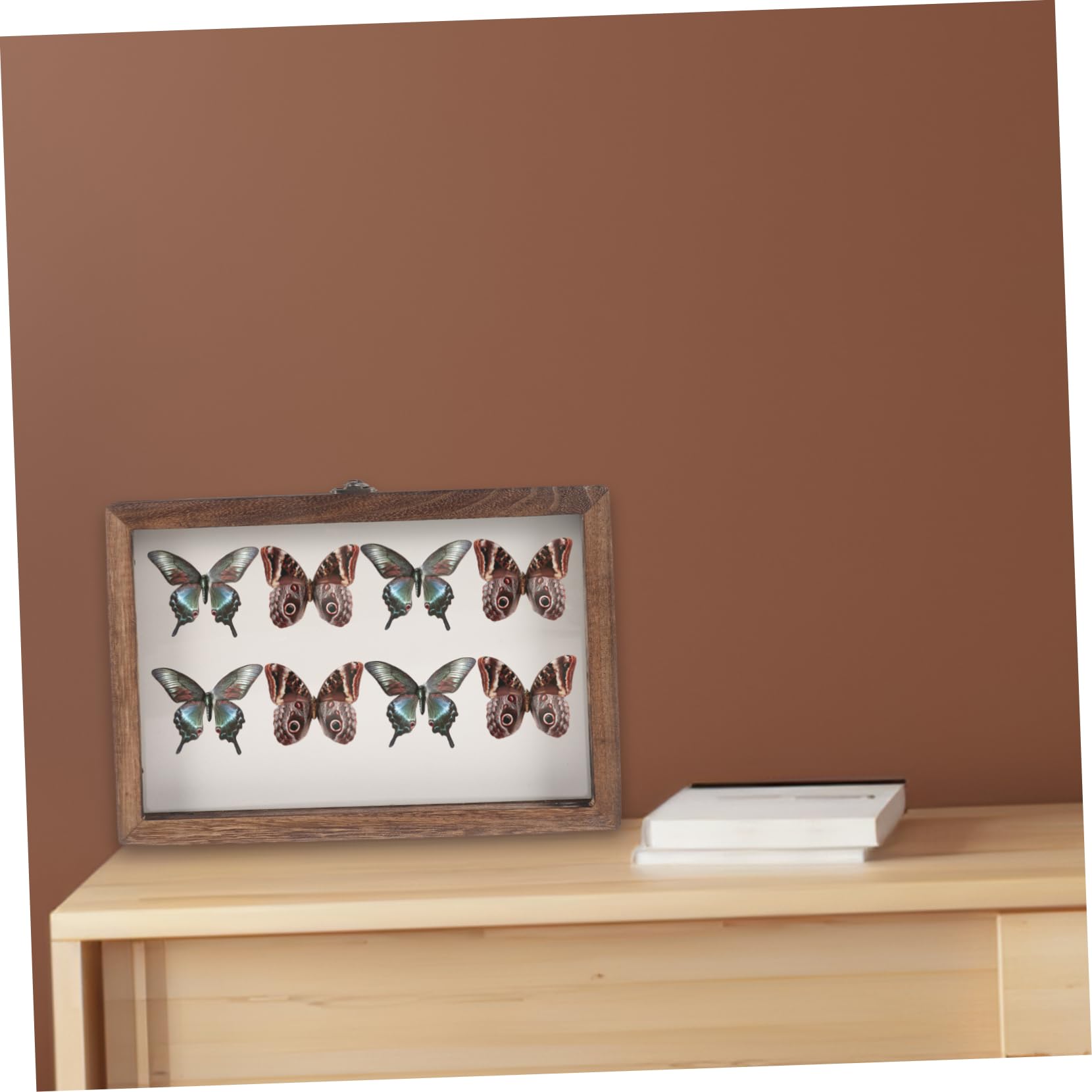 Holibanna Caja De Insectos Ventana Transparente Vitrina De Madera Diseño Colgante Para Muestras