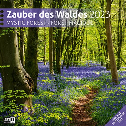 Zauber des Waldes 2023, Wandkalender / Broschürenkalender im Hochformat (aufgeklappt 30x60 cm) - Geschenk-Kalender mit Monatskalendarium zum Eintragen