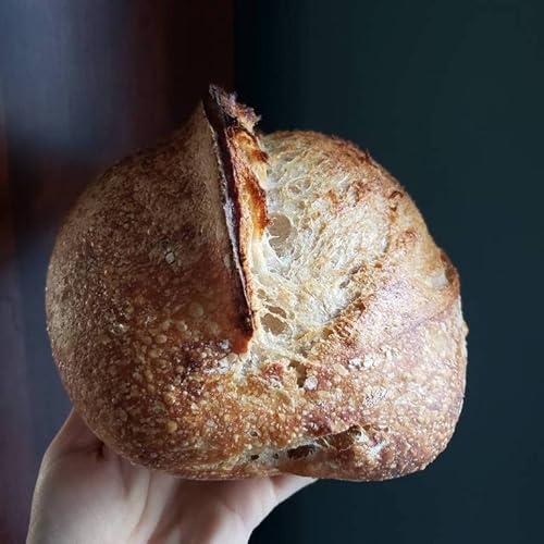 Breadtopia Sourdough Starter Live | Non-Gmo, Heirloom, & Organic | Our Sour Dough Starter Is Active & Ready To Go | Sourdough Starters For Home Made Bread Sourdough | Easy To Use Bread Starter Culture #TOP7