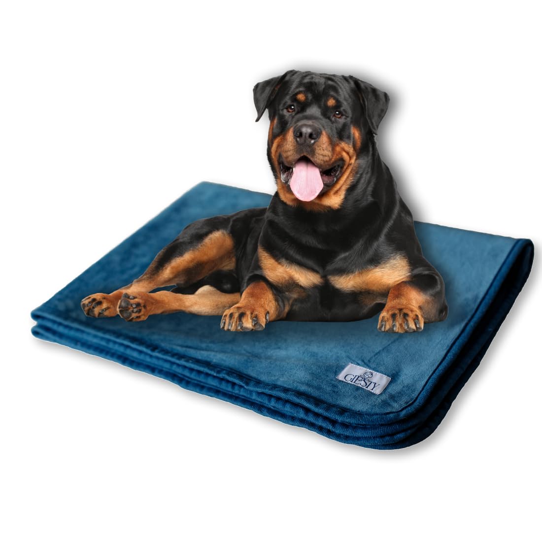 Hundedecke, Haustier Decken kuschelweich, Decken für Hunde Wasserdicht, maschinenwaschbar, beidseitiger Sofabezug-Schutz (Blau, XXL (203x148cm))